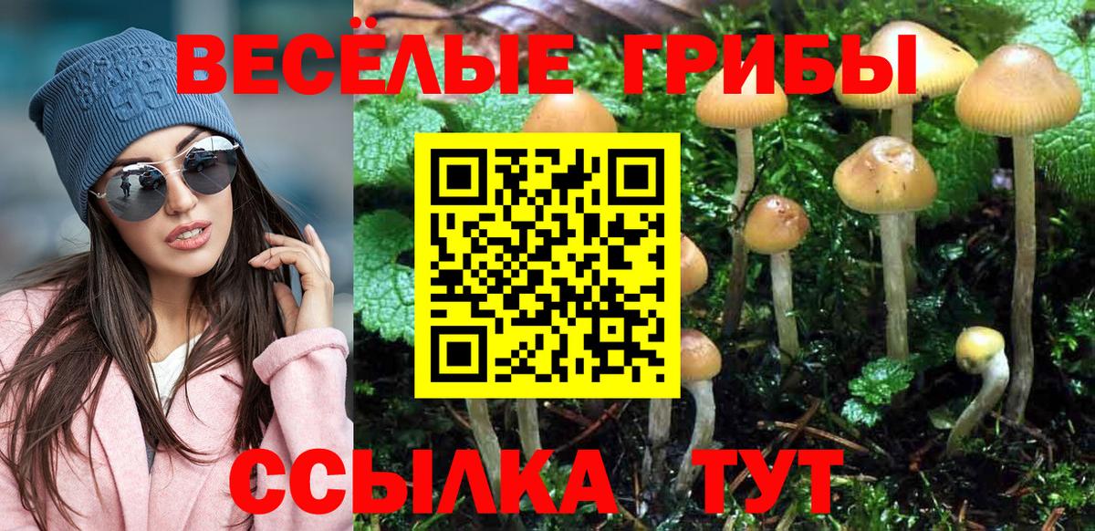 Псилоцибиновые грибы мухоморы Ипатово