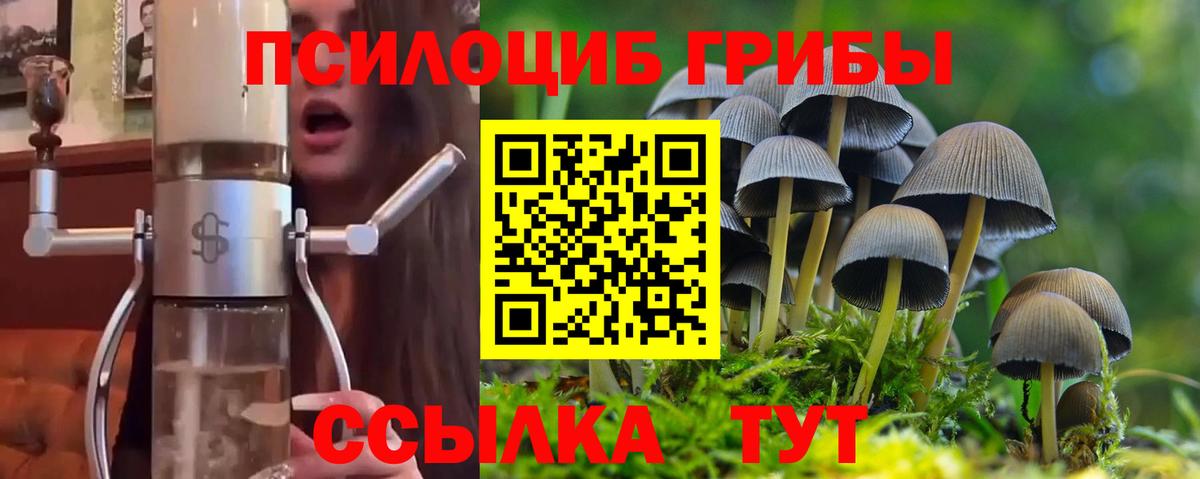 Ипатово  Галлюциногенные грибы MAGIC MUSHROOMS  Вход с VPN 